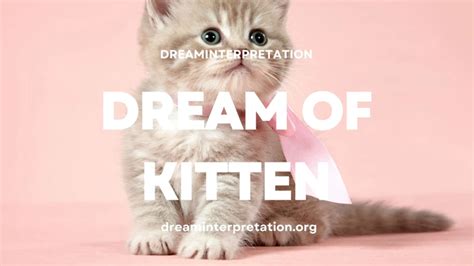 Dreams of Kittens: Meaning and Analysis