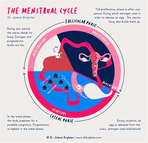 Dreams of Menstruation: Is it Normal or a Cause for Concern?