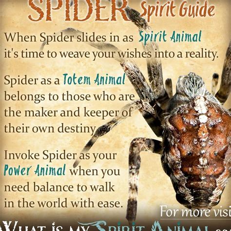 Dreams of Spiders: Unveiling their Symbolic Significance