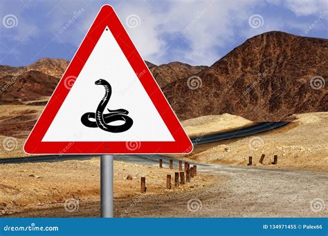 Dreams of encountering a snake on the road: A symbol of danger or transformation?