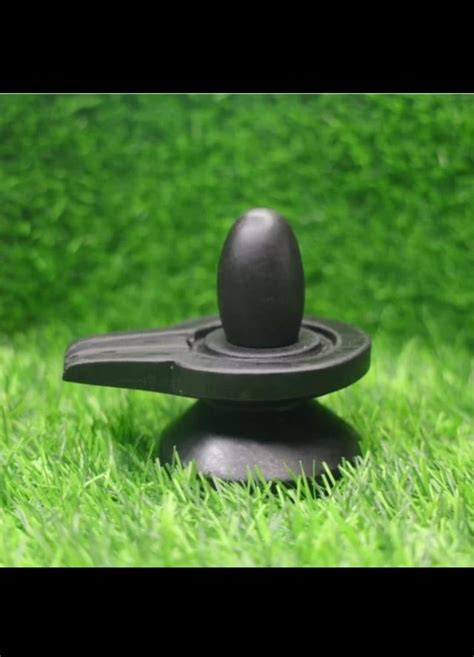 Dreams that Transform: Insights into the Significance of Devotion to the Sacred Shivling