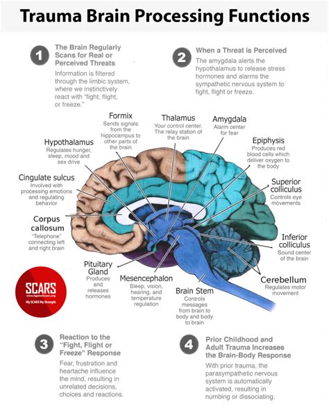 Dreams vs Reality: How the Mind Processes Traumatic Events