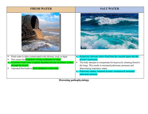 Drowning in Muddy Contaminated Water: The Psychological Analysis