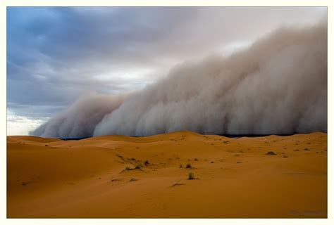 Dust Storms: Unraveling the Enigma Behind Nature's Sandstorms