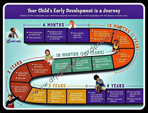 Early Life and Educational Journey