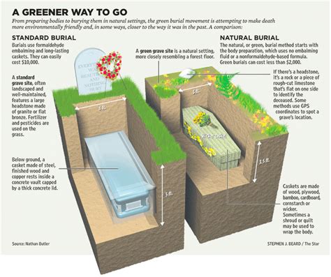 Ecological Impact: Eco-friendly Burial Options