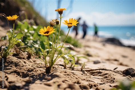 Ecological Significance: The Role of Coastal Formations in Seaside Ecosystems