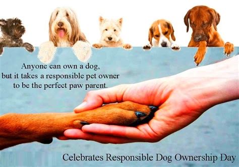 Educating Others About Responsible Pet Ownership