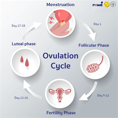 Eggs as a Representation of Fertility and Creation