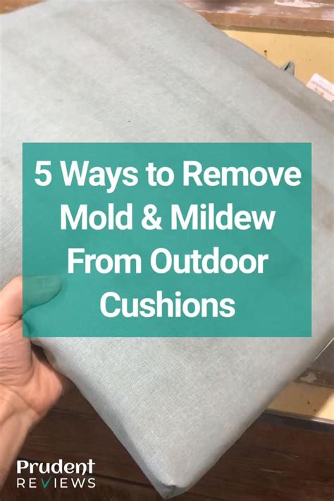 Eliminate Mold and Mildew: Effective Cleaning Methods