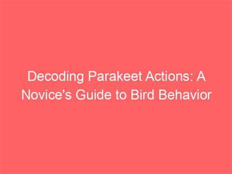 Elusive Behavior: Decoding the Puzzling Bird's Enigmatic Habits and Actions