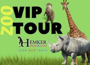 Embark on an Epic Adventure with a Zoo Safari