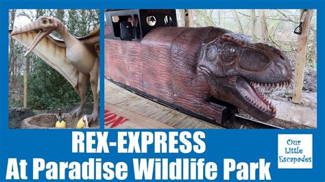 Embark on an Unforgettable Encounter: Ride and Interact with Astonishing Animatronic Dinosaurs