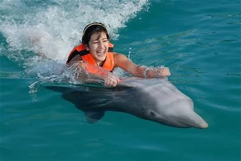 Embarking on an Enthralling Journey: Experiencing the Thrill of Swimming with Dolphins