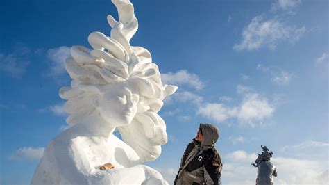 Embarking on the Journey of Ice Sculpting: An Introductory Handbook