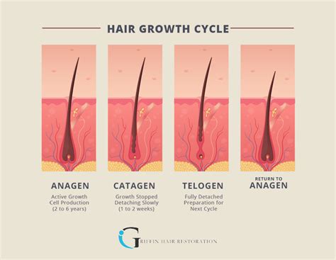 Embrace Patience: Understanding the Hair Growth Process