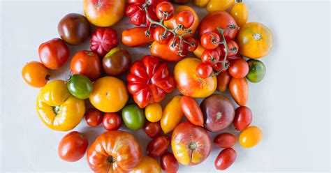 Embrace the Variety: Explore the Multitude of Tomato Varieties