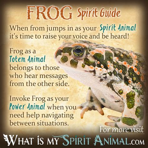 Embracing Change: Exploring the Frog's Symbolic Representation of Growth