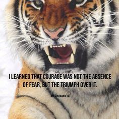 Embracing Courage: Finding Inspiration in the Tiger's Roar