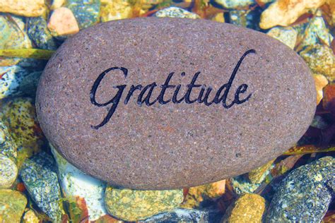 Embracing Gratitude and Giving Back in the Journey towards Abundance