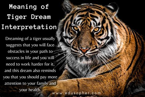 Embracing Inner Power: Analyzing Tiger Dream Interpretation