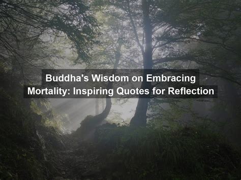 Embracing Mortality: The Significance of Reflecting on Your Life