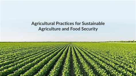 Embracing Sustainable Agriculture for a Food-Secure Future