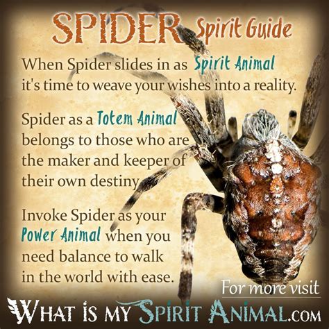 Embracing Transformation: Spider as a Power Animal