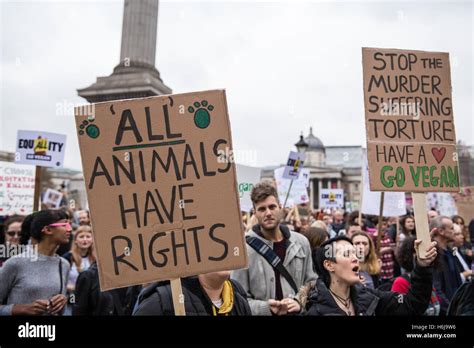 Embracing a Life of Advocacy for Animal Rights