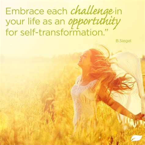 Embracing the Challenges and Transformations of the Spiritual Journey