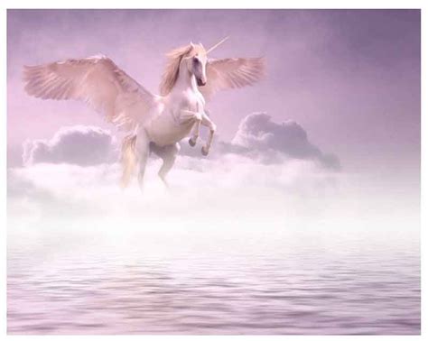 Embracing the Enchantment: Embracing the Unicorn Craze