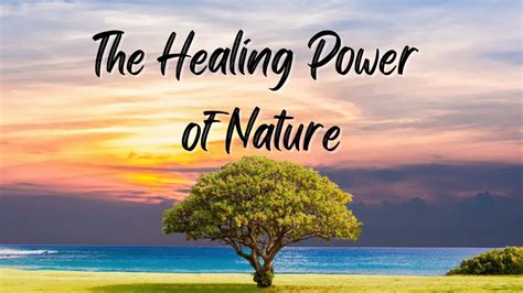 Embracing the Healing Power of the Natural World