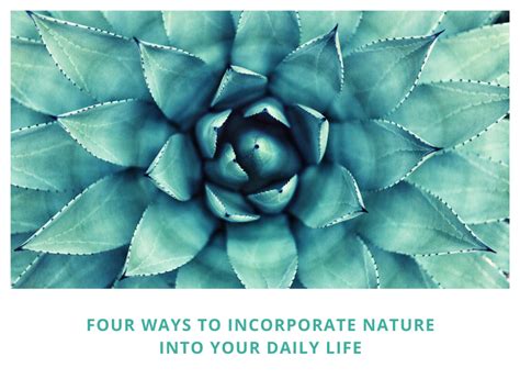 Embracing the Power of Nature: Ways to Incorporate Smooth Stones into Daily Life for a Positive Energy Journey