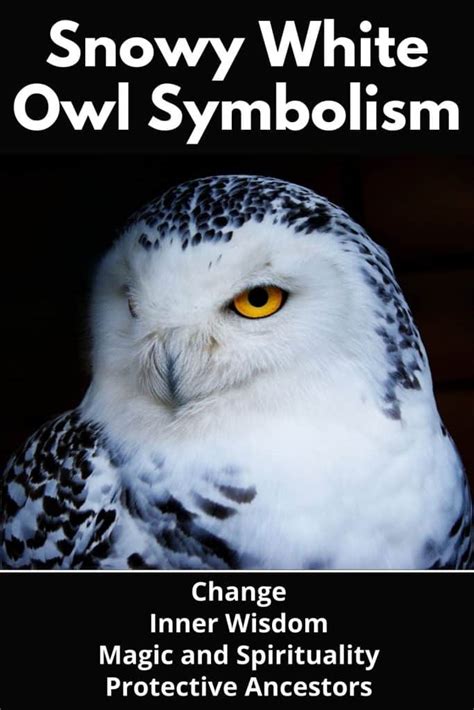 Embracing the Transformative Power: White Owls as Symbols of Change