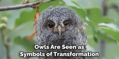 Embracing the White Grey Owl as a Symbol of Transformation