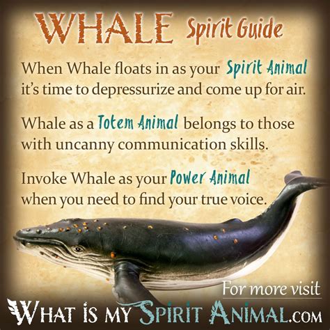 Embracing the Wisdom and Messages of Whales in Your Home