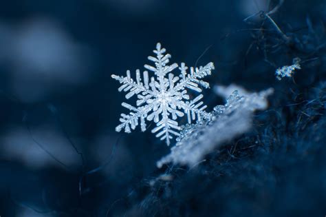 Enchanting Landscapes: The Beauty of Snowflakes in a Summer Setting