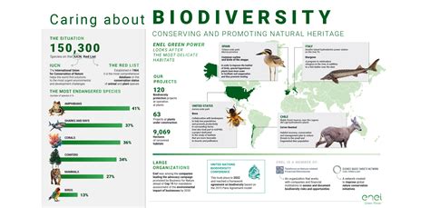 Endangered Ecosystems: The Risk to Coastal Habitats and Biodiversity