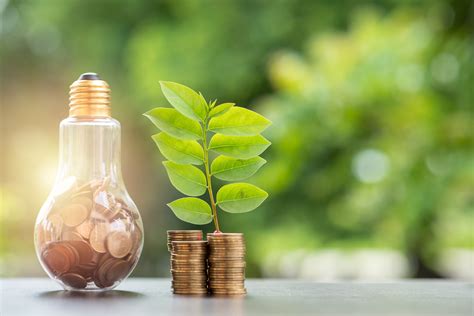 Energy Efficiency: Saving Money while Being Environmentally Friendly