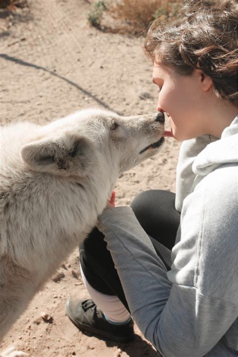 Engaging Activities to Foster a Responsible Connection with Wolves