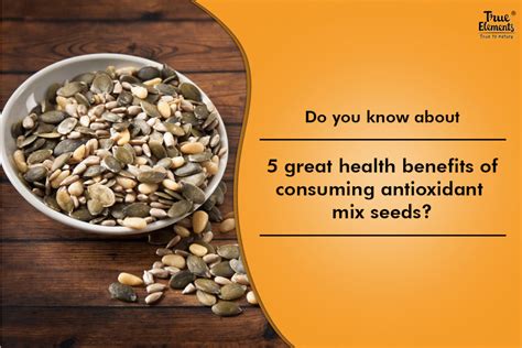 Enhance Your Well-being with the Potent Antioxidants Found in Pumpkin Seeds