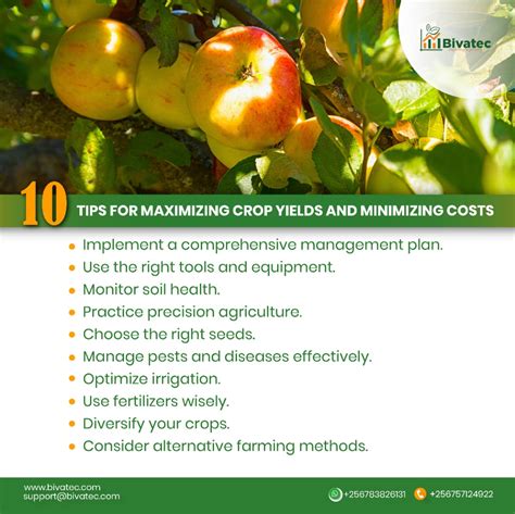 Enhancing Agricultural Methods: Maximizing Crop Yields and Minimizing Expenses for Increased Profits