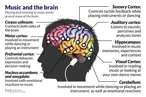 Enhancing Cognitive Functions: The Impact of Instrumental Music on Brain Activity