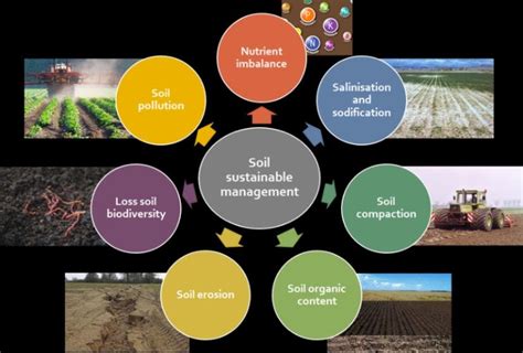 Enhancing Soil Quality using an All-Natural Substance