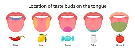 Enhancing Taste Sensations with Tongue Cleansing