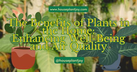 Enhancing Well-being through Houseplant Selection and Care
