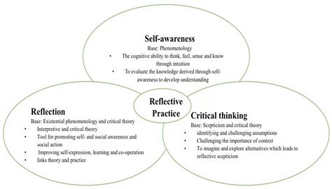 Enhancing the Mind: Mirrored Reflections for Cognitive Expansion