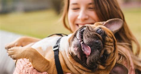 Ensuring the Well-being and Happiness of Your Furry Companion