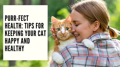 Ensuring the Well-being of Your Feline Companion: Tips for Ensuring Safety and Promoting Good Health