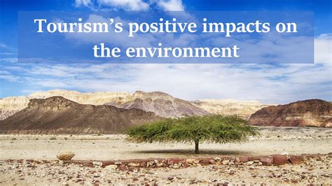 Environmental Impact: Discussing the Sustainability of Tourism on the Pristine Coastlines